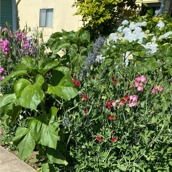 Share Show! Usually No Theme, Just Be Nice. Unlisted Items Too! @katyw12 - Picture 7 of 15